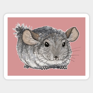 Chinchilla Magnet